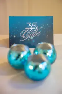 Eventfotograf Firmengala