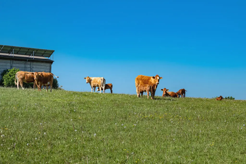 Fotograf Landwirtschaft