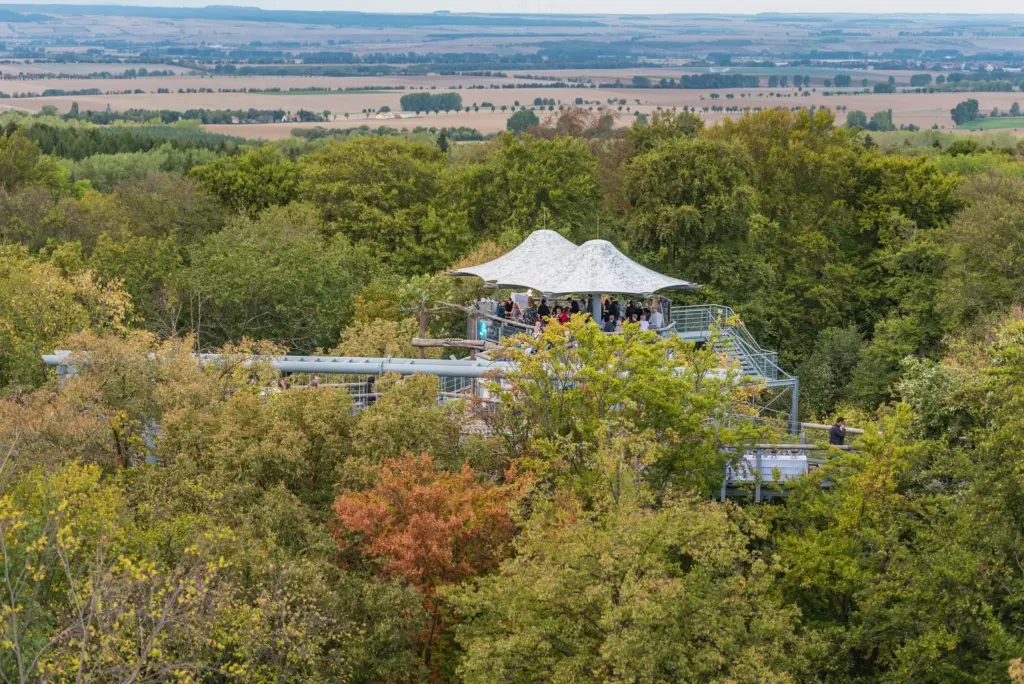 Fotos Baumkronenpfad