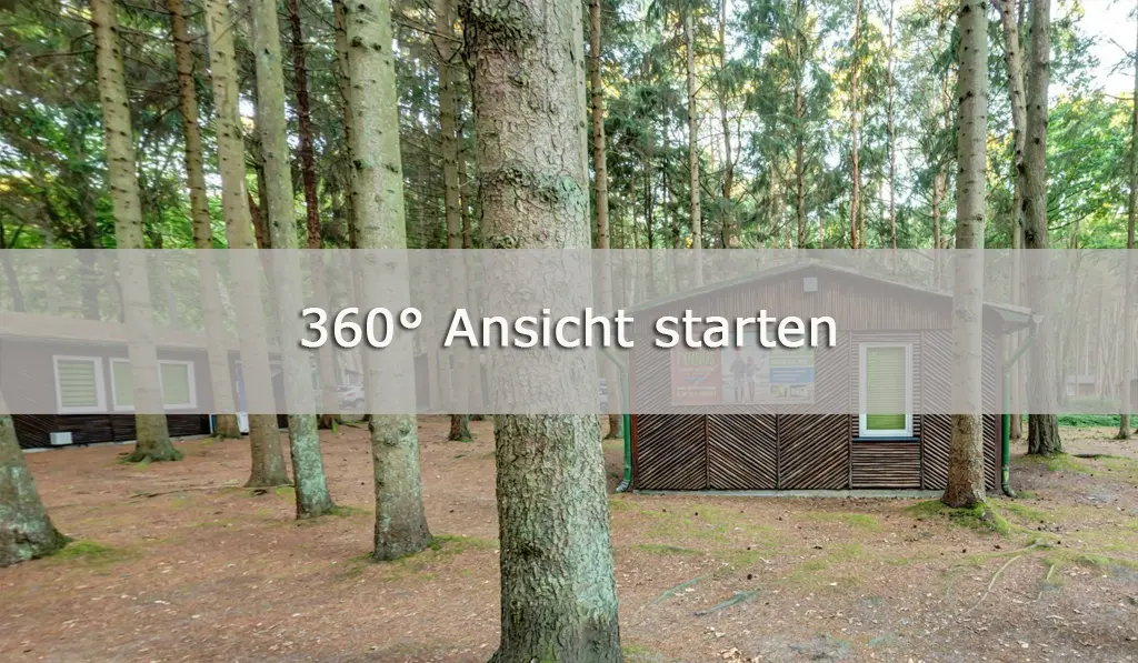 360 Grad Ansicht starten