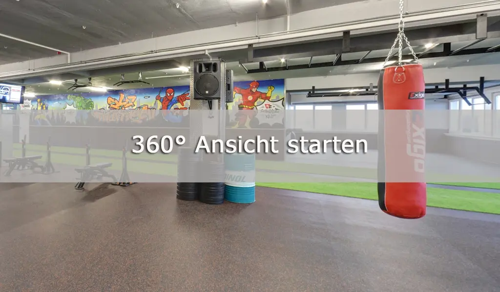 360 Grad Ansicht starten