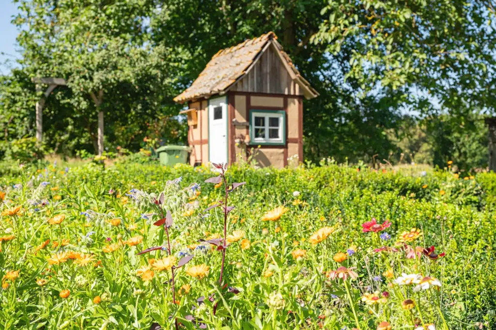 Fotografische Begleitung Gemeinde Asbach-Sickenberg
