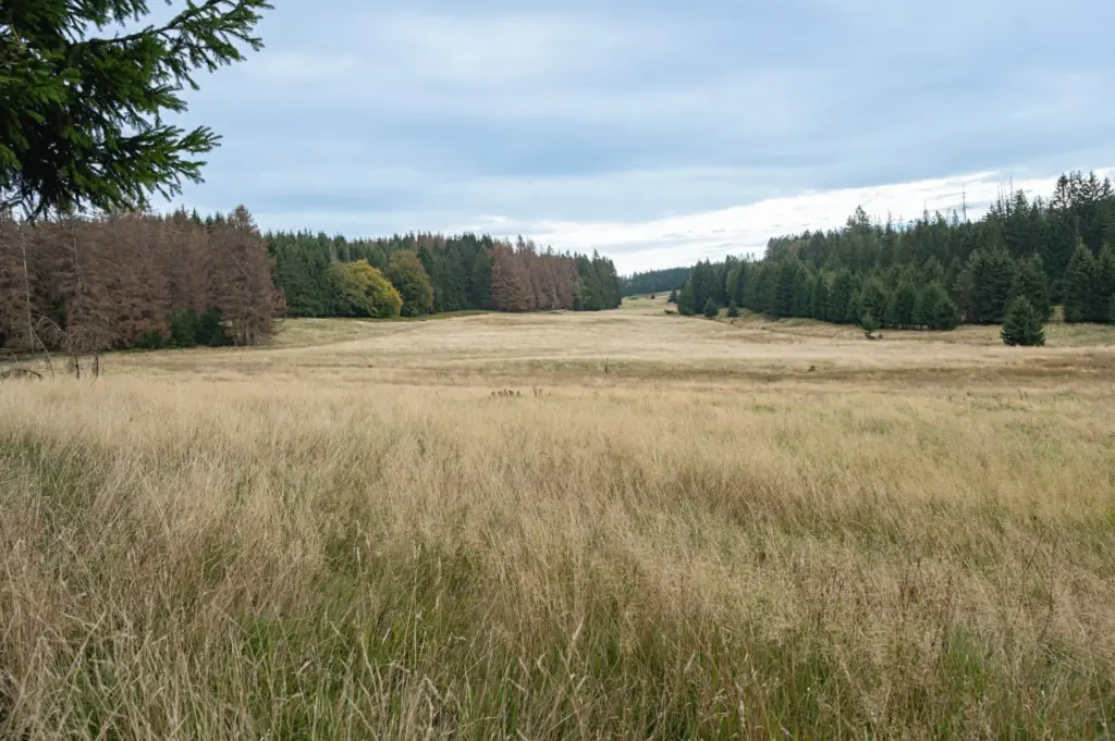 Fotografische Begleitung Saale-Orla-Kreis