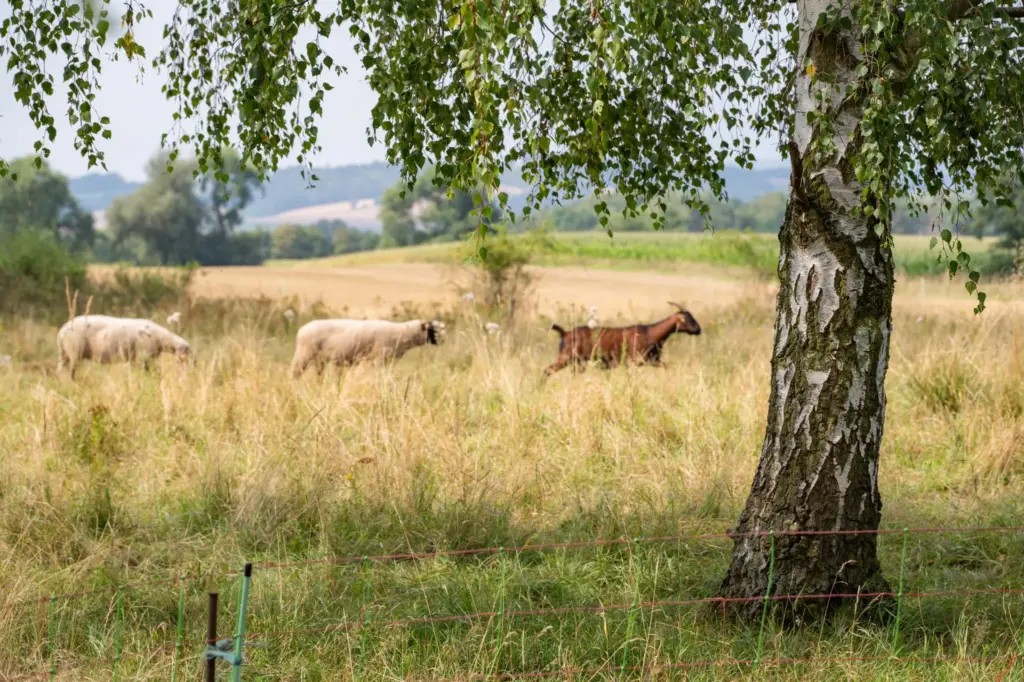 Fotografische Begleitung Landkreis Eichsfeld